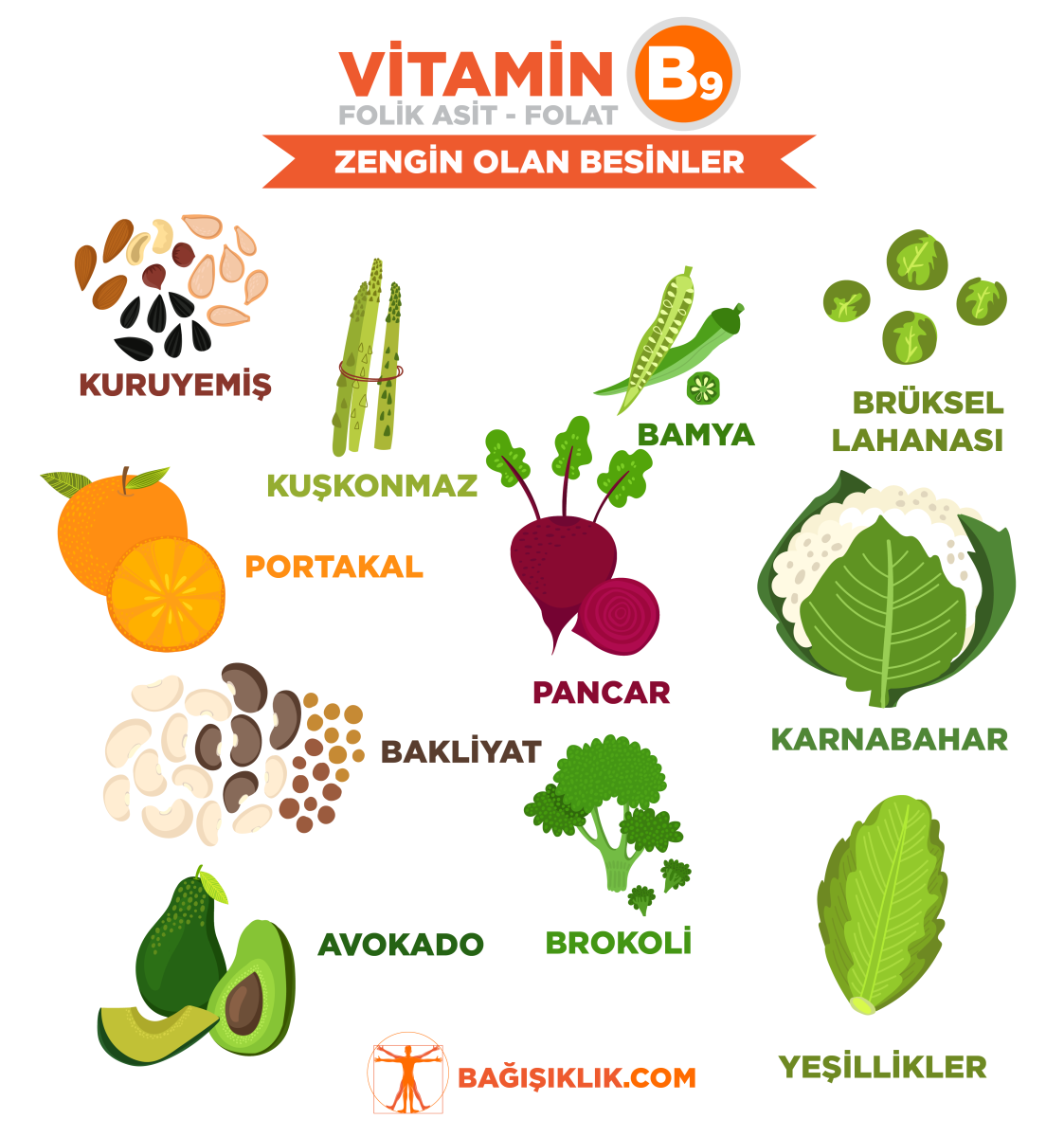 B vitamini folikosal